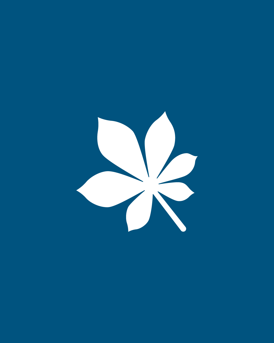 Chestnutt Holiday Parks Featured Image